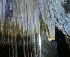 Foto de área de nova UC do Paraná
