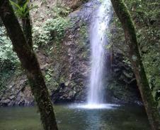 Foto de área de nova UC do Paraná