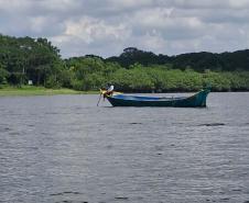 Foto de área de nova UC do Paraná