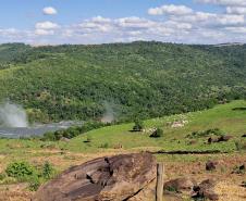 Foto de área de nova UC do Paraná