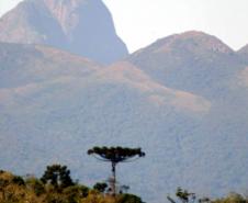 Foto do Pico Paraná