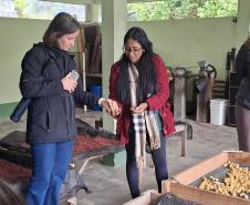 Foto de estudantes conhecendo viveiro do IAT