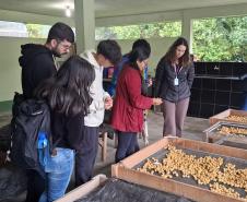 Foto de estudantes conhecendo viveiro do IAT