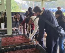 Foto de estudantes conhecendo viveiro do IAT
