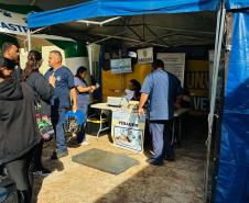 Foto de animais atendidos pelo CastraPet Paraná