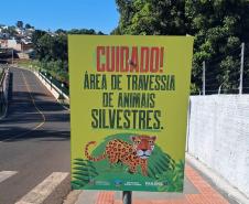Foto de placas educativas