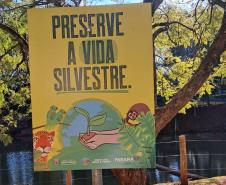 Foto de placas educativas