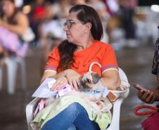 Foto de cachorros atendidos pelo CastraPet Paraná