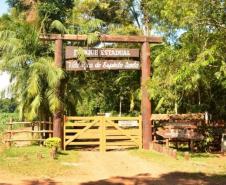 Foto de parque estadual parananese