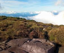 Foto de áreas cercadas do Parque Pico Paraná