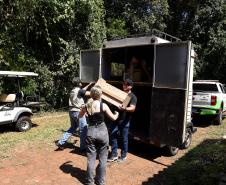 Foto de agentes em resgate de fauna