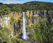 Foto de paisagem natural do Paraná