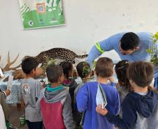 Foto de ação educativa da semana do meio ambiente