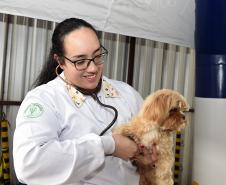 Foto de pessoas atendidas pelo Vet-móvel