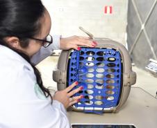 Foto de pessoas atendidas pelo Vet-móvel
