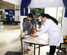 Foto de atendimentos veterinários