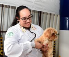 Foto de atendimentos do Vet-móvel Paraná