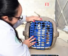 Foto de atendimentos do Vet-móvel Paraná