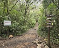 Foto do Parque Estadual da Baitaca