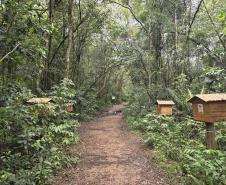 Foto do Parque Estadual da Baitaca