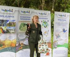 Foto de ações do do Educador Sustentável