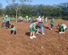 Foto de ação de plantio de mudas