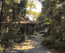Foto de trilha do Parque Estadual Rio da Onça