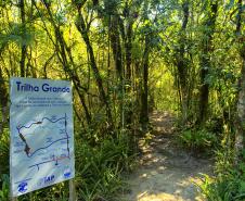 Foto de trilha do Parque Estadual Rio da Onça