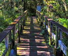 Foto de trilha do Parque Estadual Rio da Onça