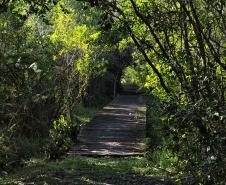 Foto de trilha do Parque Estadual Rio da Onça
