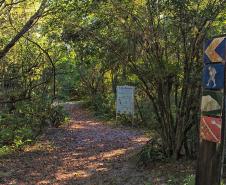 Foto de trilha do Parque Estadual Rio da Onça