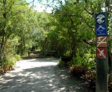 Governo reforça ação contra febre amarela nos parques estaduais
