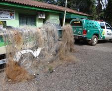 Estado já aplicou 930 autos de infração ambiental neste ano