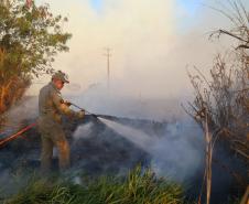Bombeiros reforçam alertas para evitar queimadas