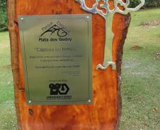 Parque Estadual Mata dos Godoy completa 30 anos
