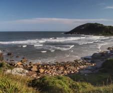 Coleta de amostras de águas das praias do Paraná começa já em novembro
