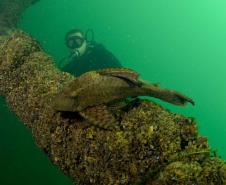 Porto Rico tem praias de água cristalina, esportes náuticos e pesca