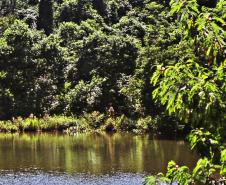 Bacias hidrográficas do Paraná abrigam belezas e potencial turístico