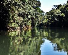 Bacias hidrográficas do Paraná abrigam belezas e potencial turístico