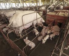 Interior terá rodada de palestras sobre o Descomplica Rural
