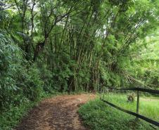 Circuito em torno do Pico Paraná é novo atrativo do Litoral
