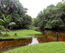 Circuito em torno do Pico Paraná é novo atrativo do Litoral