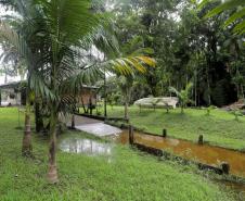 Circuito em torno do Pico Paraná é novo atrativo do Litoral