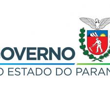 Expedição é criada para localizar harpia rara no Paraná

