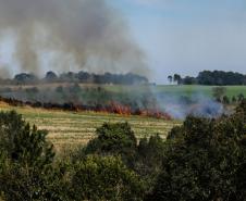 Incêndios ambientais crescem 33% no Paraná no 1.º trimestre
