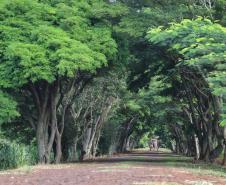 Municípios terão atendimento virtual sobre o ICMS Ecológico
