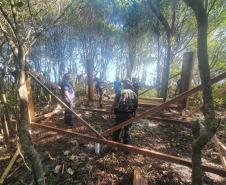Projeto de lei prevê medidas ambientais e territoriais na Ilha do Mel
