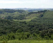 Estado abre 220 vagas para residência técnica na área ambiental