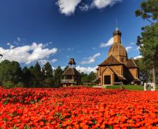 Campos de flores no Paraná encantam turistas