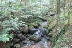 Governo do Paraná destaca papel das RPPNs na conservação da biodiversidade
